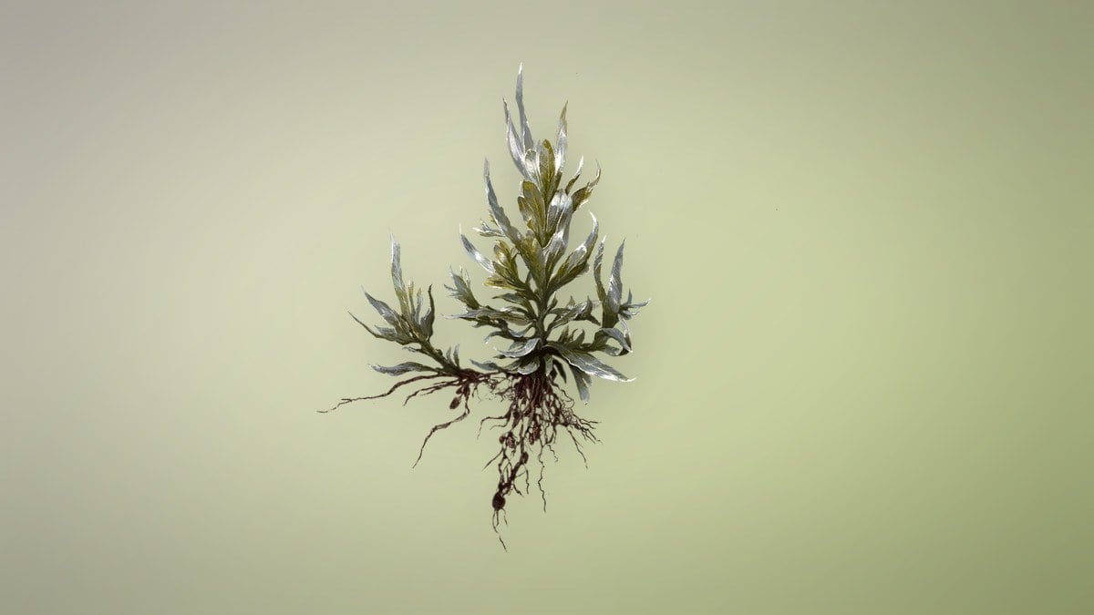 Blemish Goldweed item card, Phantom Blade Zero