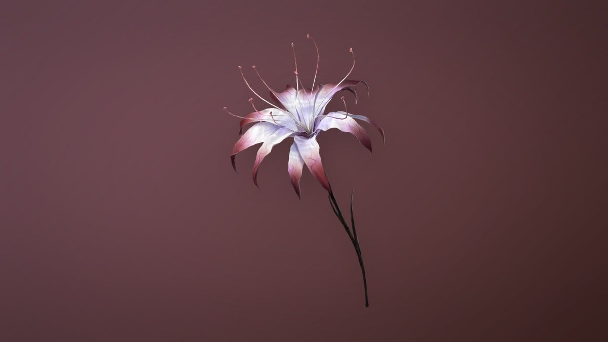 Flesh Lily