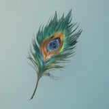 Feather Fan Plume icon