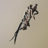 Miraculous Scabbard icon