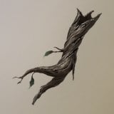 Ancient Timber icon
