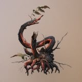 Blood-stopper Vine