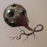 Eye of Insight