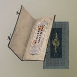 Opera Ticket