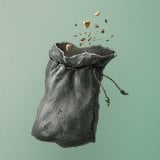 Pigeon Feed