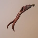 Red Serpent Tongue