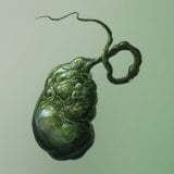Serpent Gall: Green