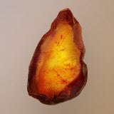 Sha-Chi Amber Shard