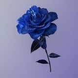 Thread-binding Disciple's Memory Flower icon
