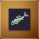 Aquaculture (Aquaculture)