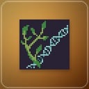 Plant Genetics (Hydroponic)