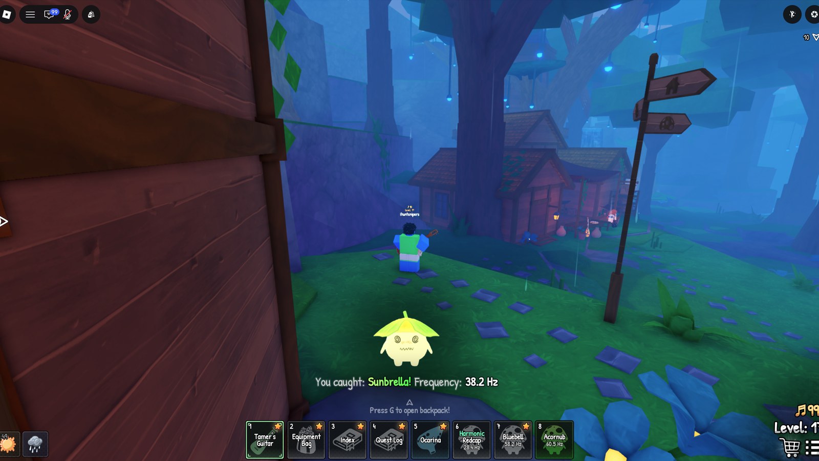 SCROOMS: How to Catch Sunbrella (Rarity and Frequency Range)
