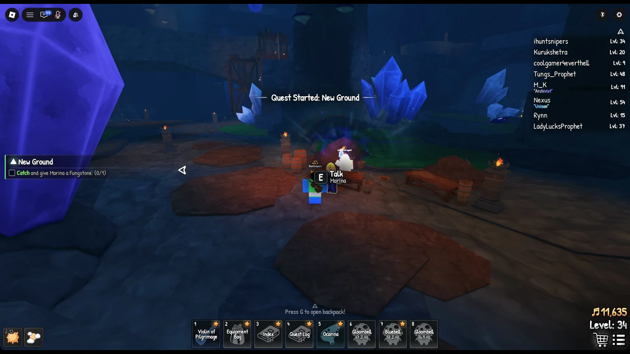 New Ground objective tracker reading Catch and give Marina a Fungstone 0 of 1