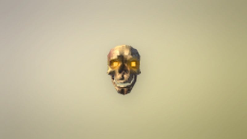 Skeleton