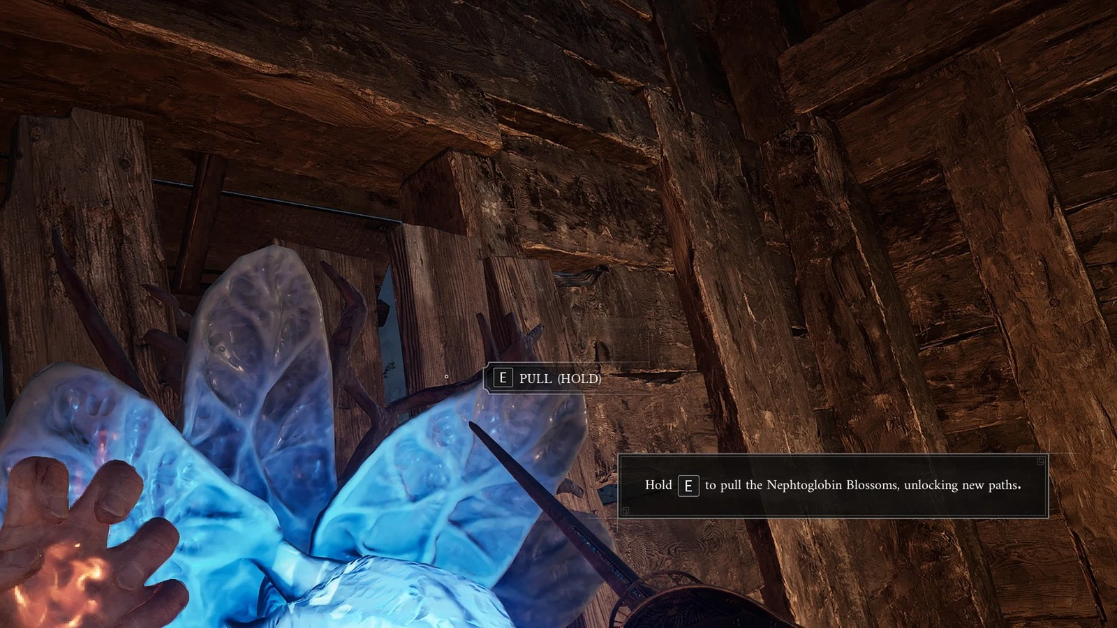 First-person view of glowing blue blossoms among wooden beams, with a pull prompt and a tutorial text box.
