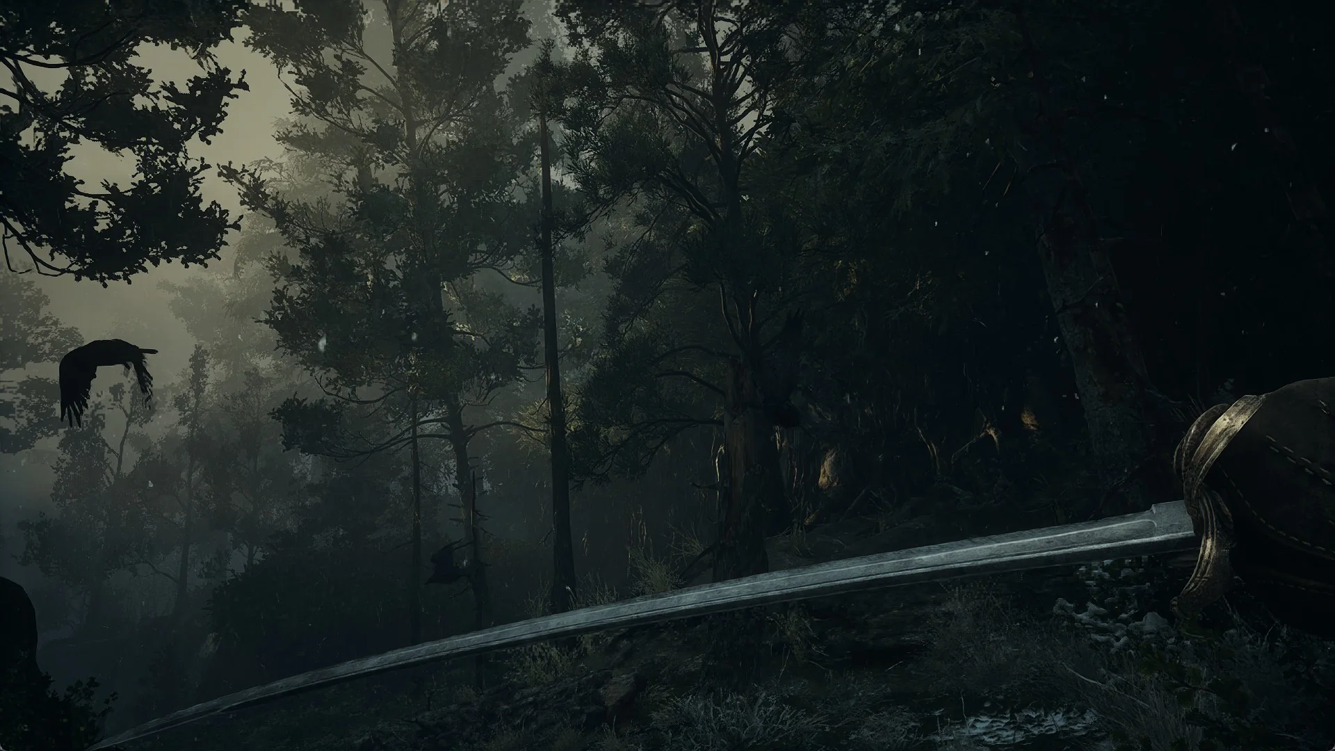First-person view of a sabre blade in hand in the misty Valor Mortis forest