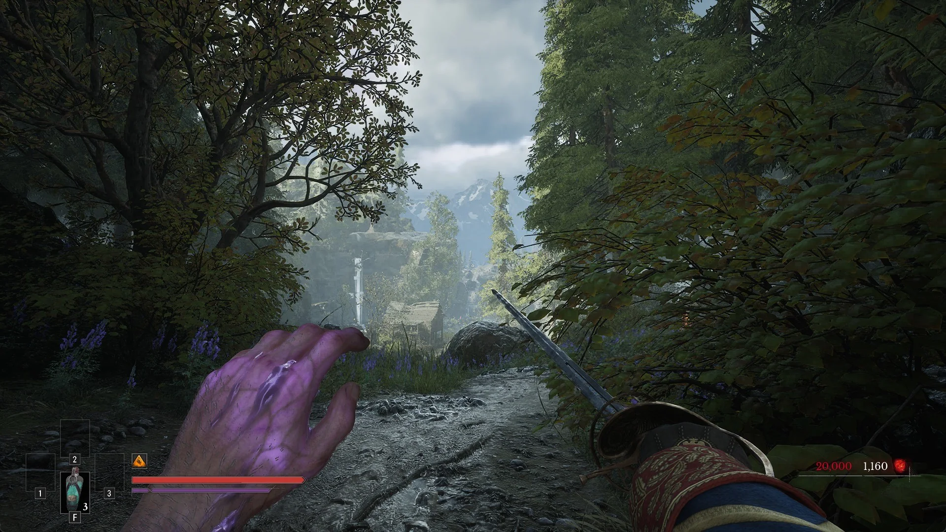 An overgrown forest road in the Vale of Wrath with a hut ahead