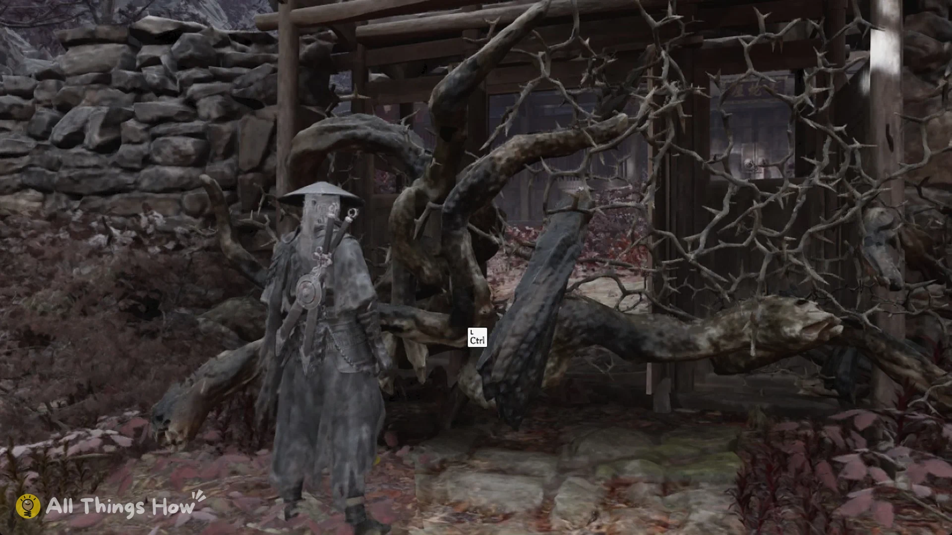 Soul at the thorny vine blocking the shed doorway at the Red Serpent House with the Ctrl prompt, Phantom Blade Zero