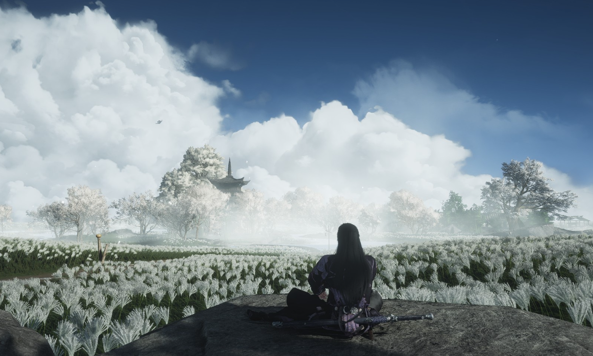 Where Winds Meet Goose Slayer trophy guide (Demon Goose boss)