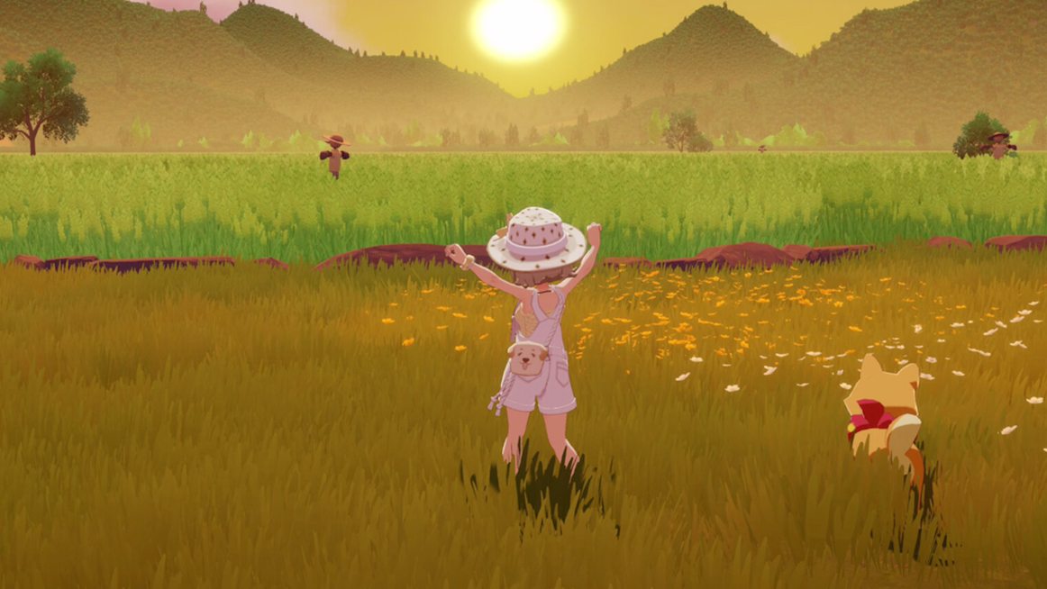 Starsand Island Beekeeping — How to Get Honeycomb, Bees, and Start Producing Honey